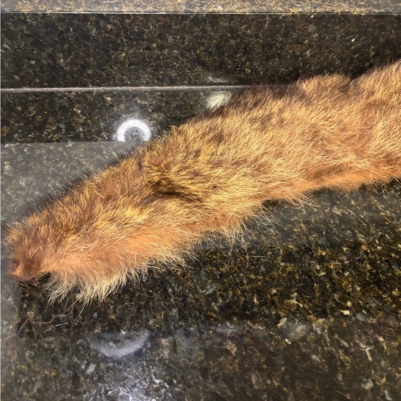 Vintage 1950s Fur Stole or Coat Collar - Picture 7 of 8